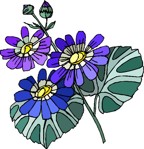 610x631 Clip Art Flowers And Plants Plants