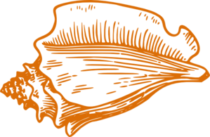 299x195 Orange Conch Shell Clip Art