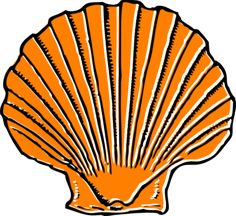236x216 Orange Conch Shell Clip Art