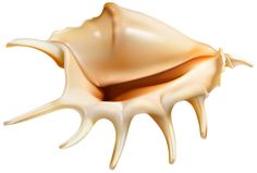 236x159 Pin By F 117 On Summer Vacation Png Clip Art