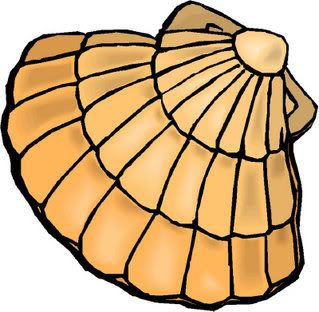 319x312 Fancy Shells Clipart Clip Art