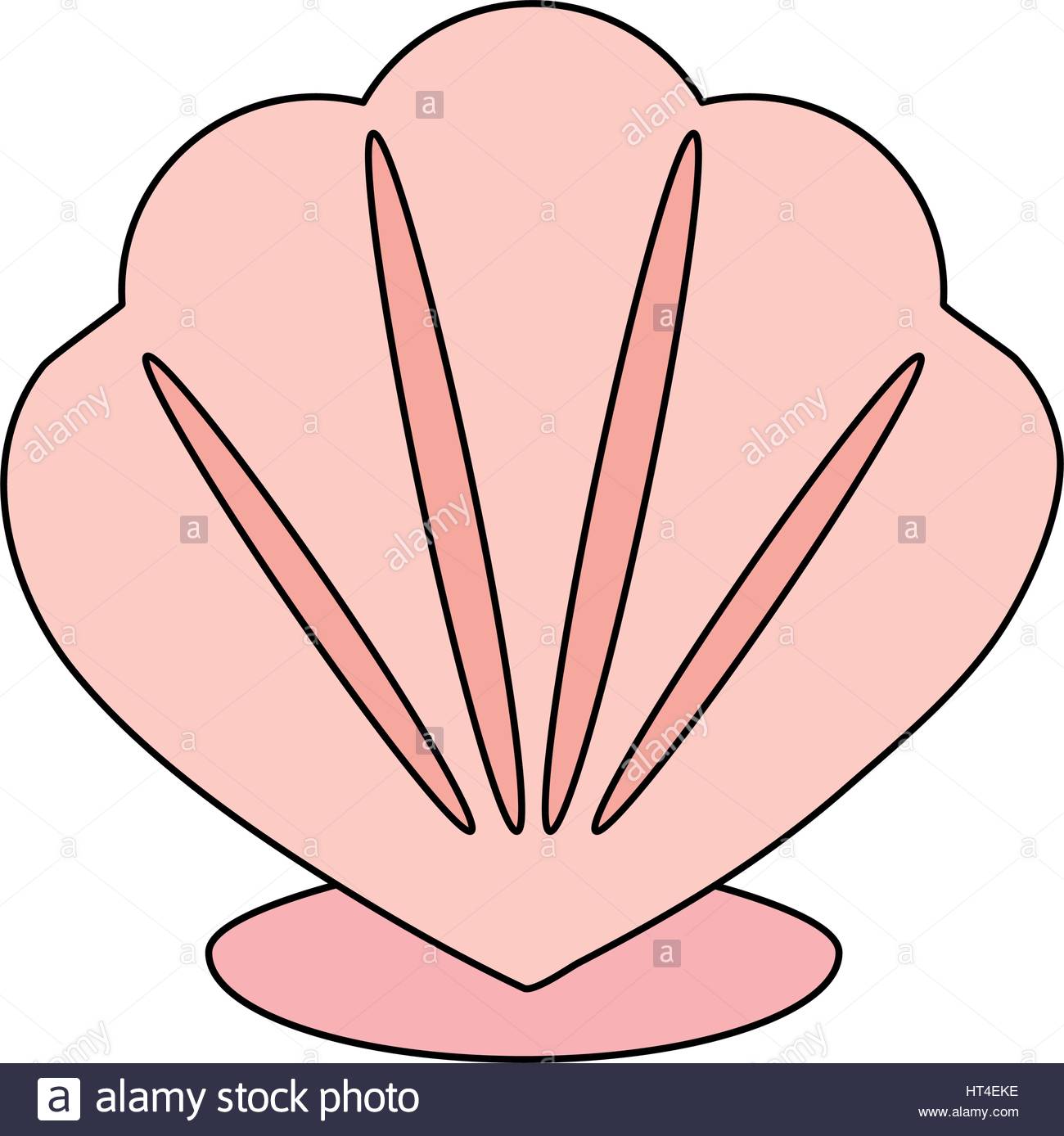 Conch Shell Clipart at GetDrawings | Free download