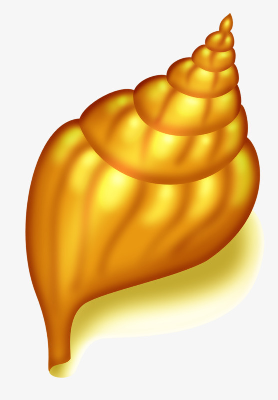 557x800 Golden Conch, Hand Painted, Conch, Shell Png Image And Clipart