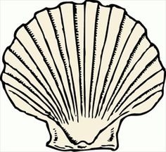 236x216 Shell Clip Art Black And White Sea Shell Clipart Shells Clipart