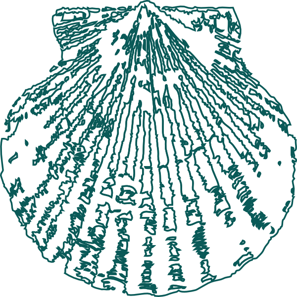 600x601 Shell Clip Art