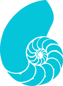 219x298 Shell Clipart Teal