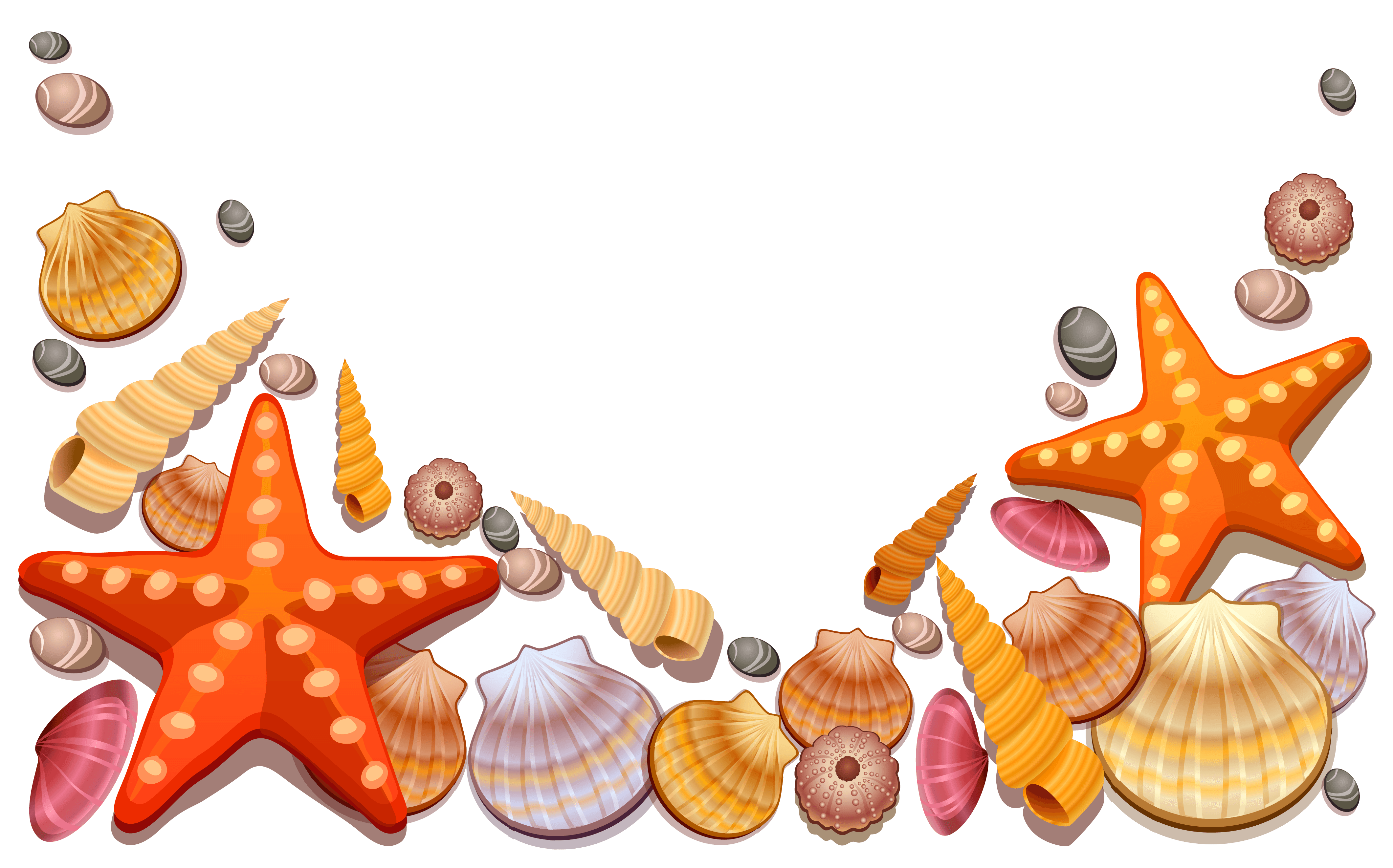 4242x2645 Beach Shell Cliparts