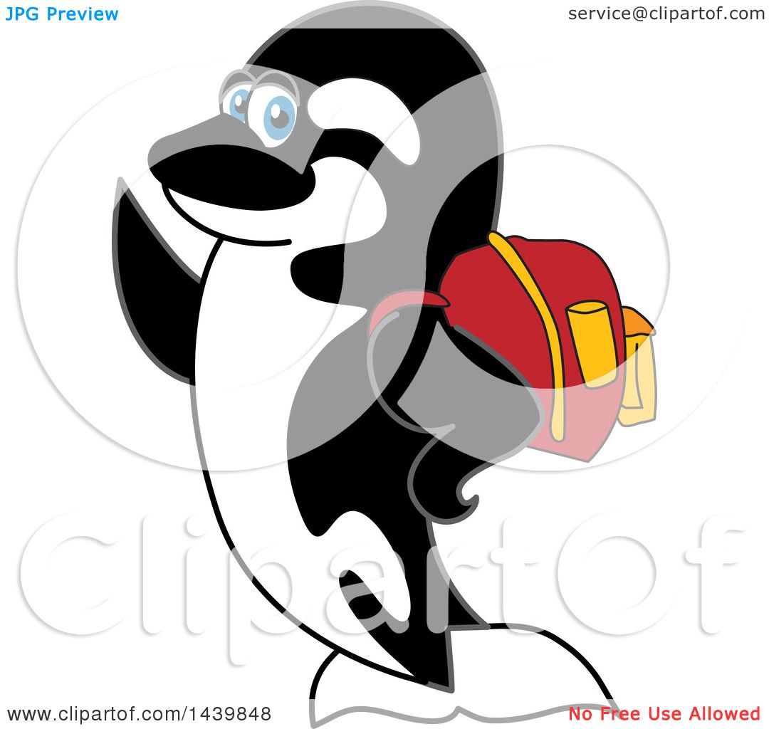 1080x1024 Clipart Of Killer Whale Orca School Mascot Character Wearing