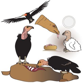 350x350 Animal Conservation