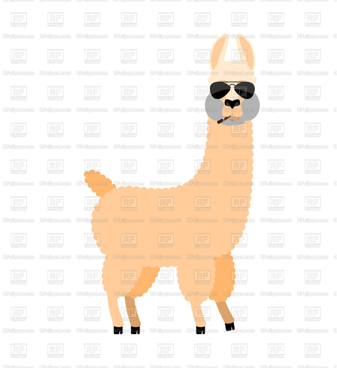 1100x1200 Cool Lama Alpaca Serious Emotion Royalty Free Vector Clip Art