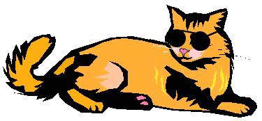 375x174 Cool Cat Clipart