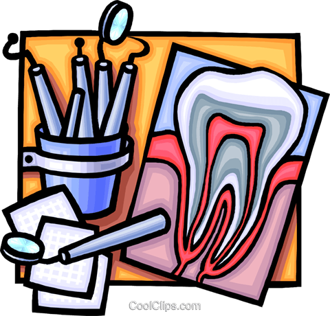 480x460 Cross Section Of A Tooth Royalty Free Vector Clip Art Illustration