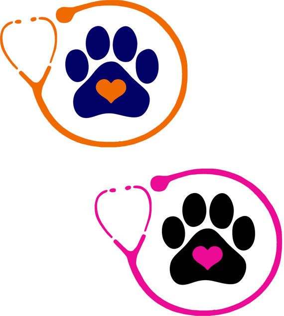 570x635 Super Cool Paw Clipart Dog Clip Art Black Print Silhouette