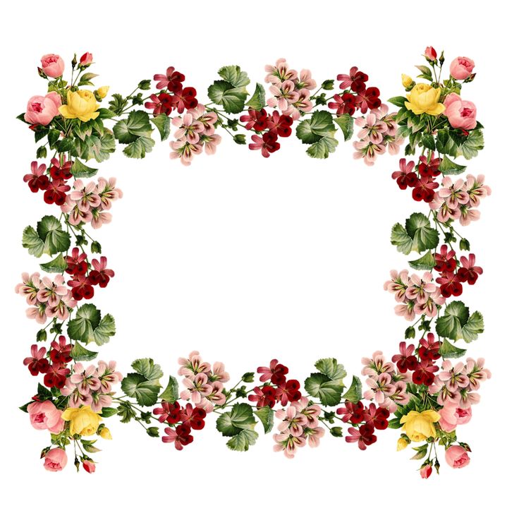 736x744 Vintage Flowers Borders Clipart Clip Art Flower Border