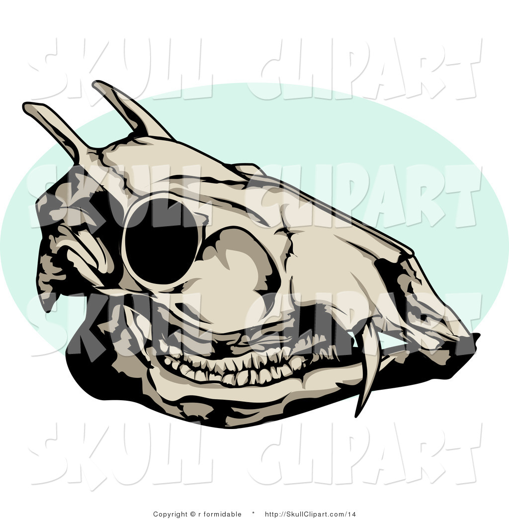 1024x1044 Vector Clip Art Of A Dead Deer Skull With A Blue Circle By R