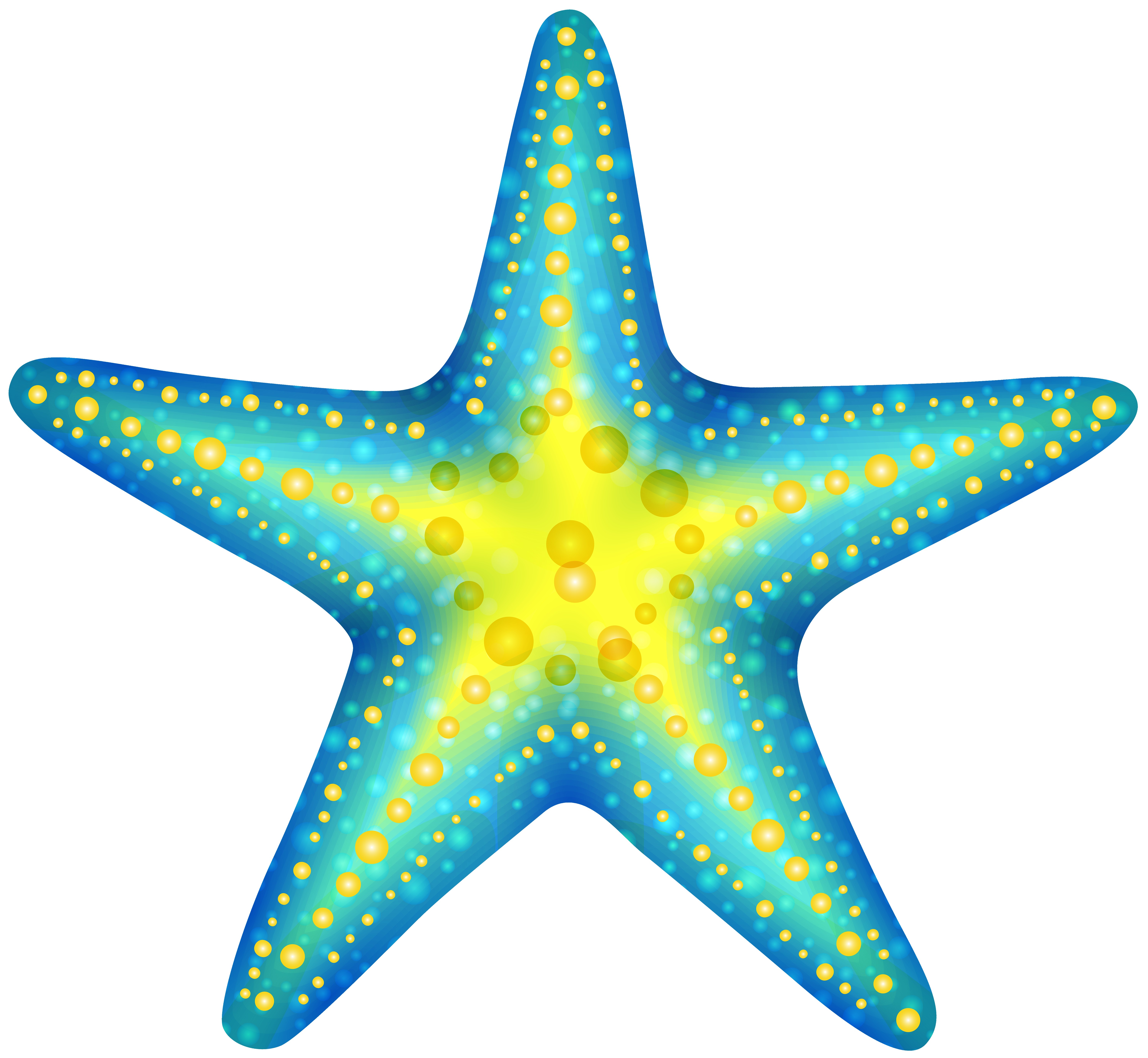 6000x5530 Starfish Transparent Png Clip Art Image Gallery Yopriceville