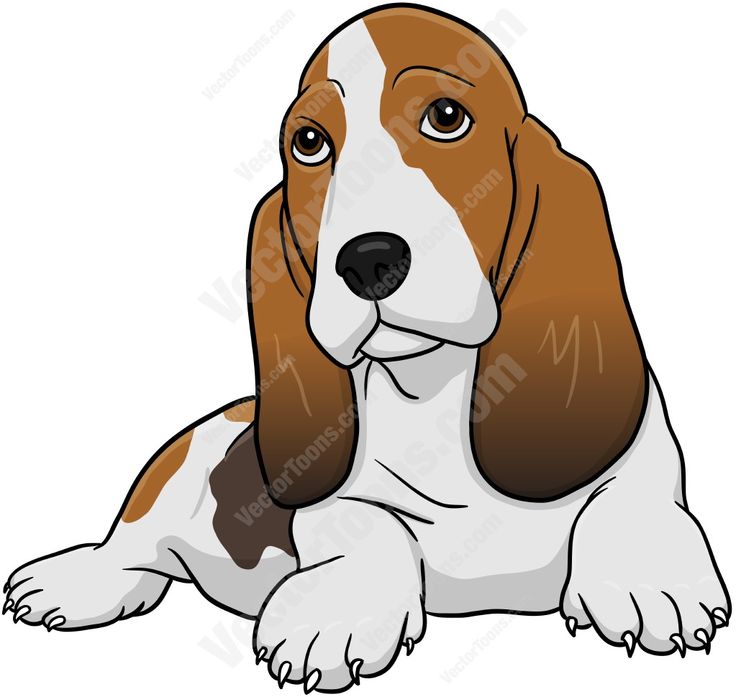736x697 Basset Hound Clipart Dog Shadow
