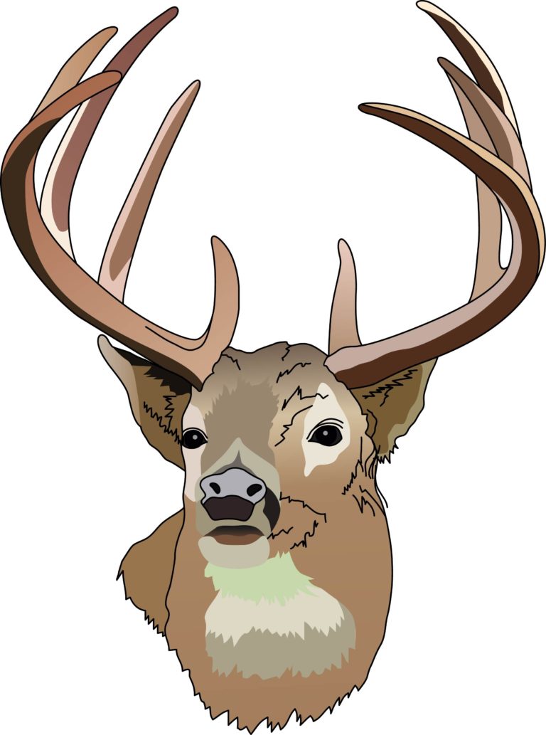 768x1033 Deer Hunting Clipart Free 2