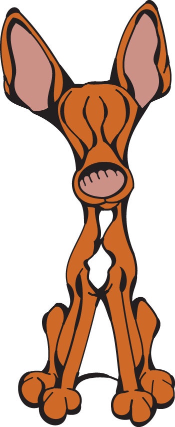 350x852 73 Best Hound Group Images On Dog Breeds, Species