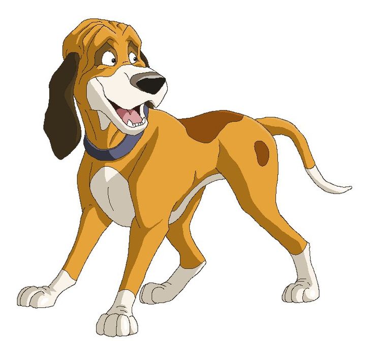 Coon Dog Clipart at GetDrawings | Free download