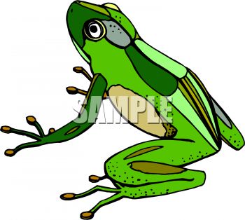 350x314 Amphibian Clipart Tree Frog