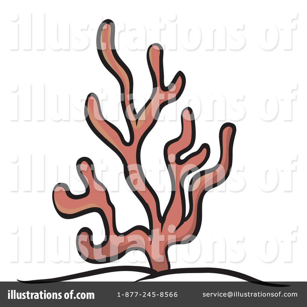 1024x1024 Coral Clipart