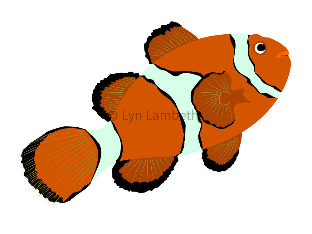 1000x750 Clownfish Clipart, Instant Download, Fish Clip Art, Reef Fish