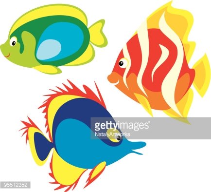 434x394 Colorful Coral Fishes Premium Clipart