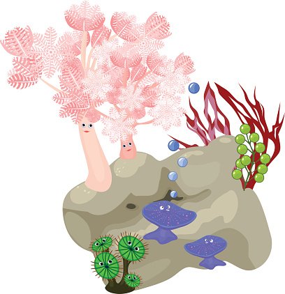 408x422 Coral Reef Stock Vectors