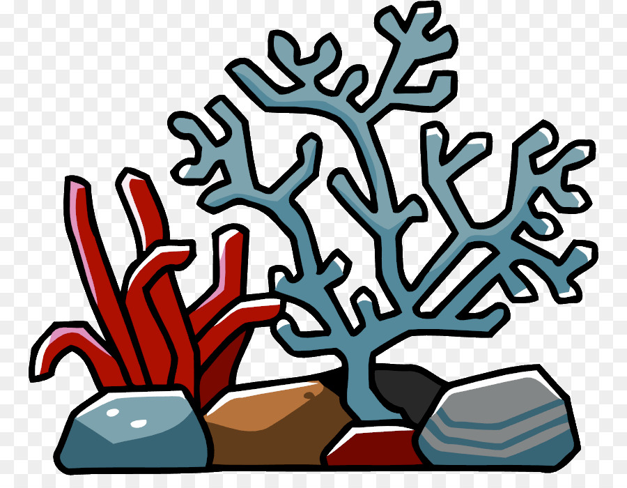 900x700 Coral Triangle Coral Reef Clip Art