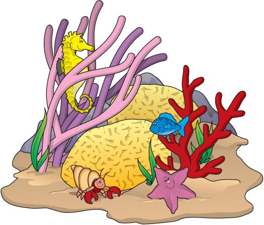 525x446 Images Coral Reef Clipart