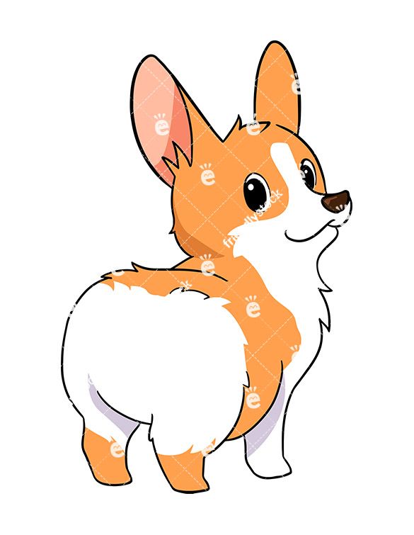 585x755 Cute Corgi Dog Showing Off Its Cute Butt Vector Cartoon Clipart