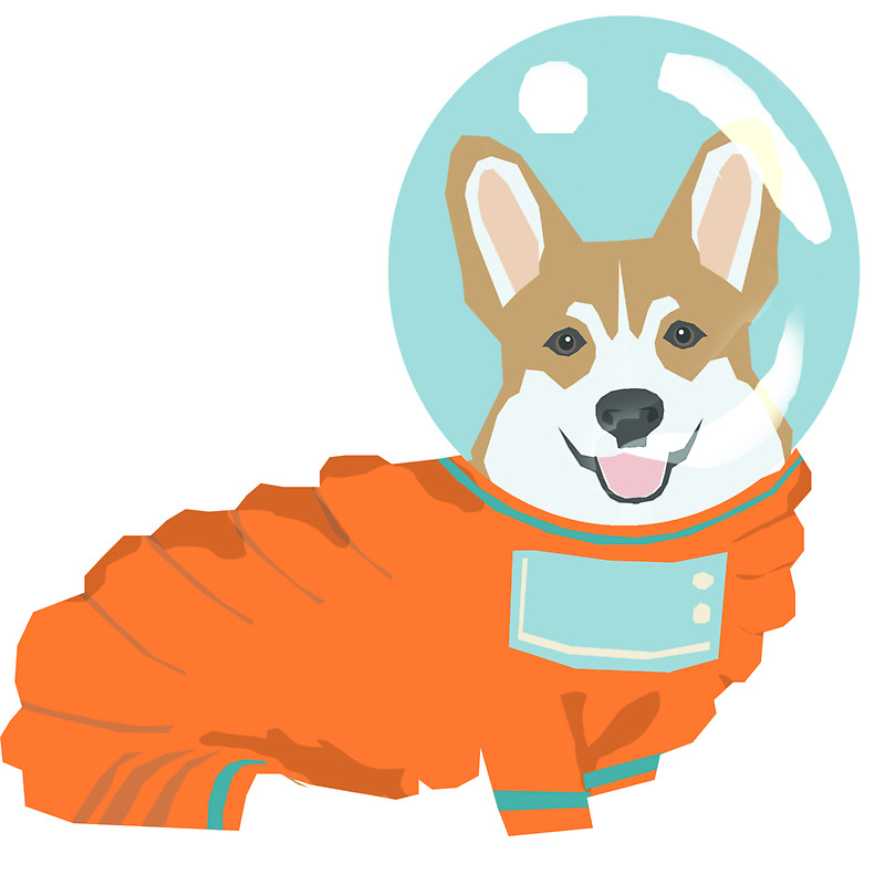 800x800 Elephant Community Pressfirst Dog Creative Writing Workshop For Kids