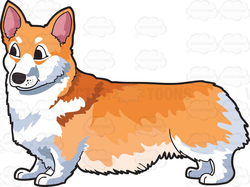 1024x766 A Very Pretty Pembroke Welsh Corgis Cartoon Clipart Vector Toons