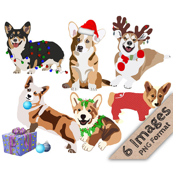 570x570 Christmas Corgis