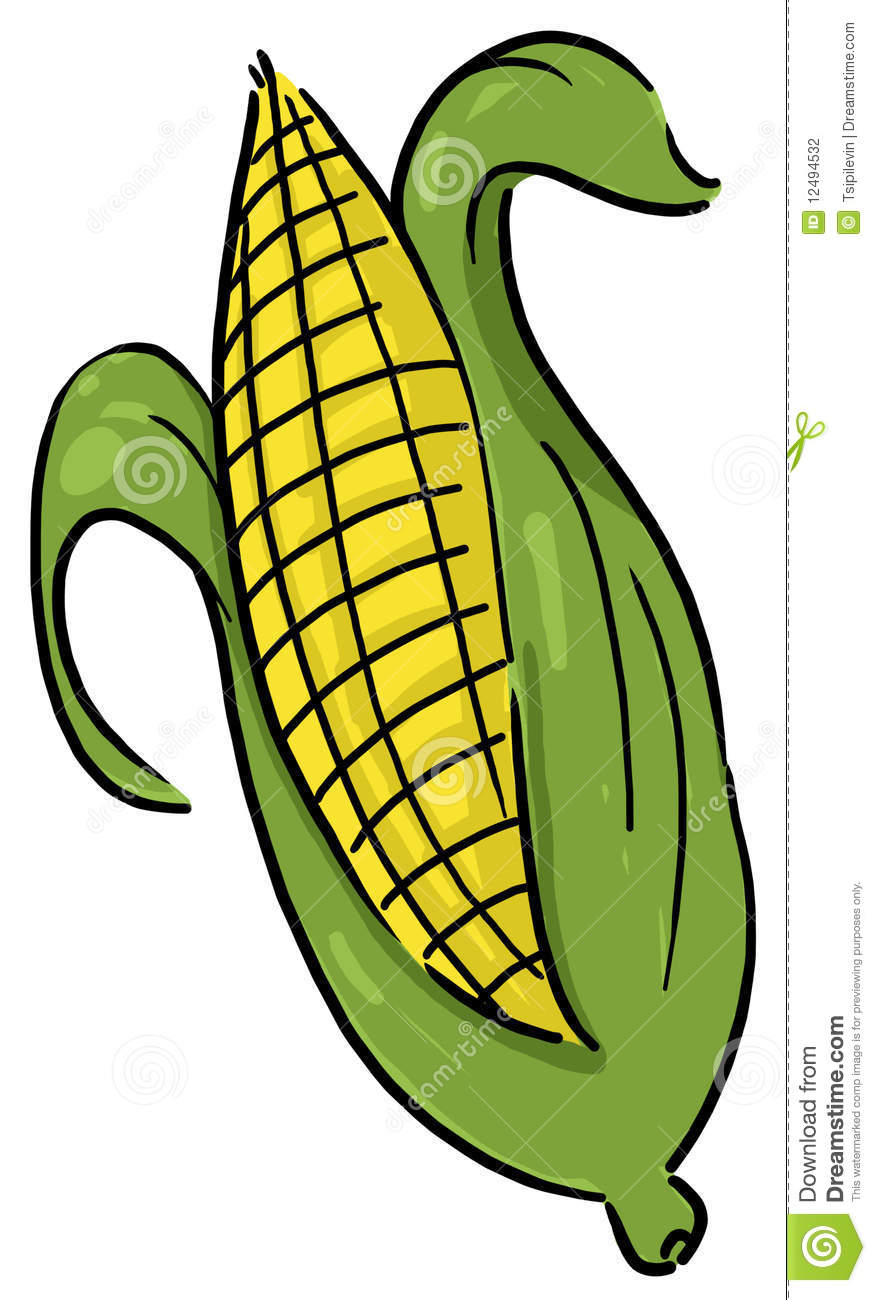 876x1300 Clip Art Clip Art Of Corn