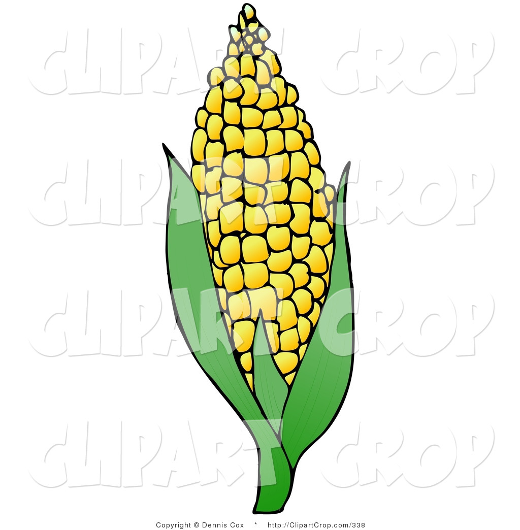 1024x1044 Corn Clip Art Free Clipart Panda