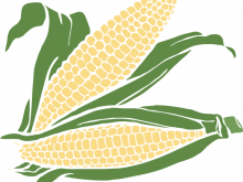220x165 Sweet Corn Clipart Corn Clip Art