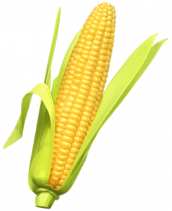 245x300 Sweet Corn Clipart Pin Courtney Patterson On Fruit And Vegetables