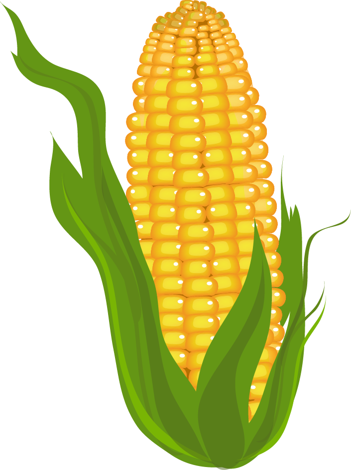 705x945 Corn Clipart Prints, Pictures And More