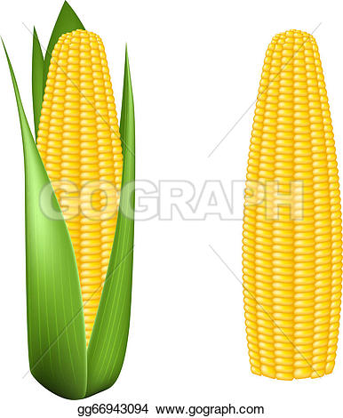 386x470 Corn Cob Clip Art Clipart