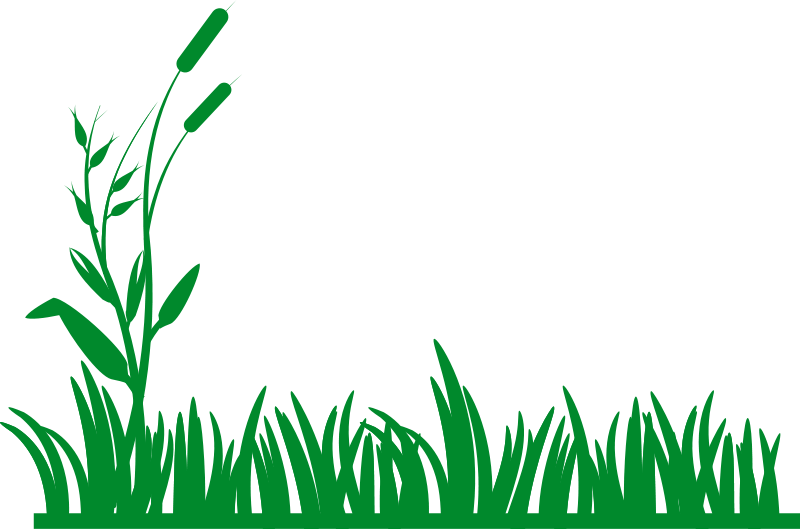 800x529 Field Clipart