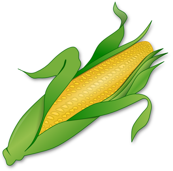 600x595 Corn Clipart Clipartlook