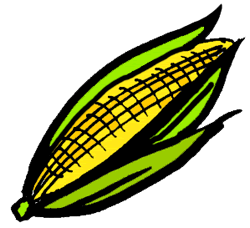250x228 Corn On The Cob Clip Art Clipart Panda