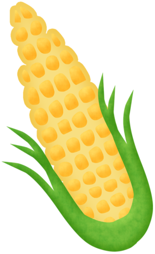 306x500 Corn On The Cob Vegetables Ant, Clip Art And Food