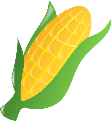 459x500 Corn On The Cob 2 Public Domain Vectors