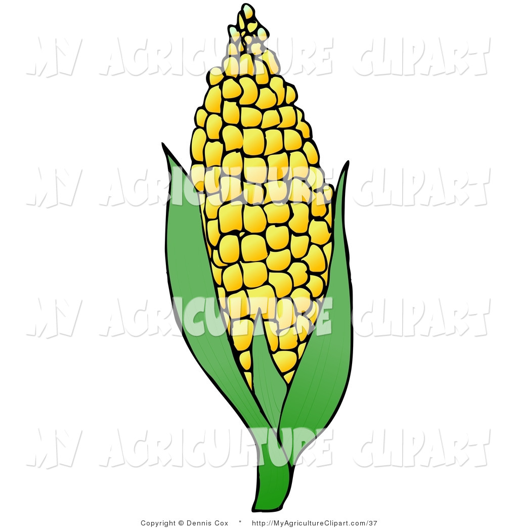 1024x1044 Biohazard Clipart Transparent