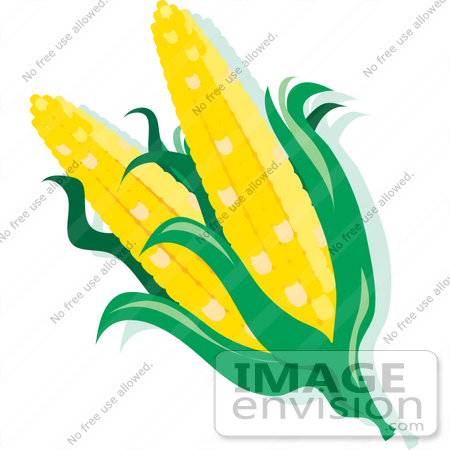 450x450 Stylish Design Ideas Corn On The Cob Clipart A White Background