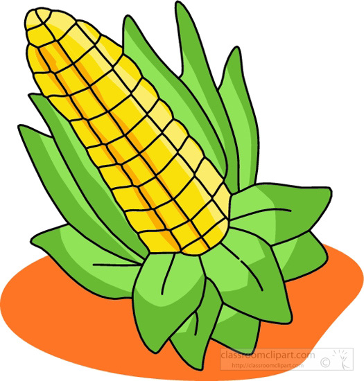525x550 Cornfield Clipart Sweet Corn