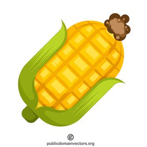 300x300 62 Free Corn Vector Art Public Domain Vectors